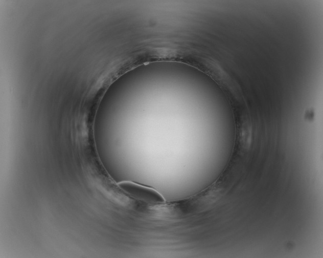 X0000115620516200911101418