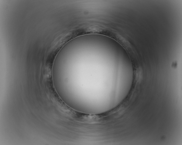 X0000115620517200911101418