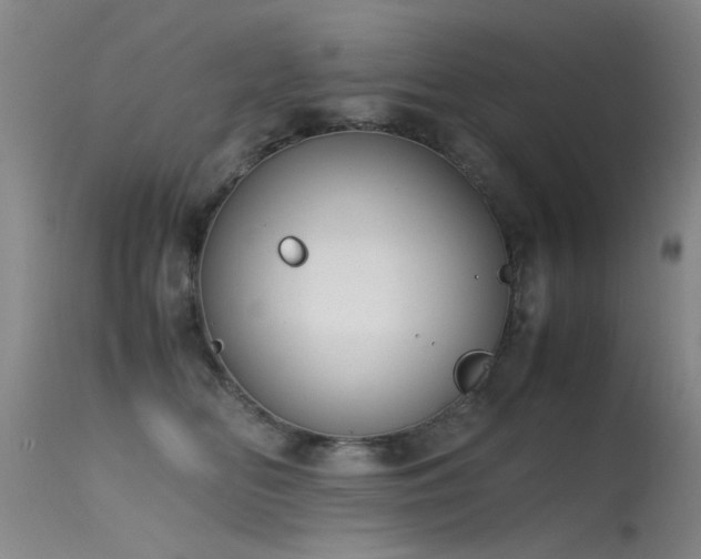 X0000115620518200911101418