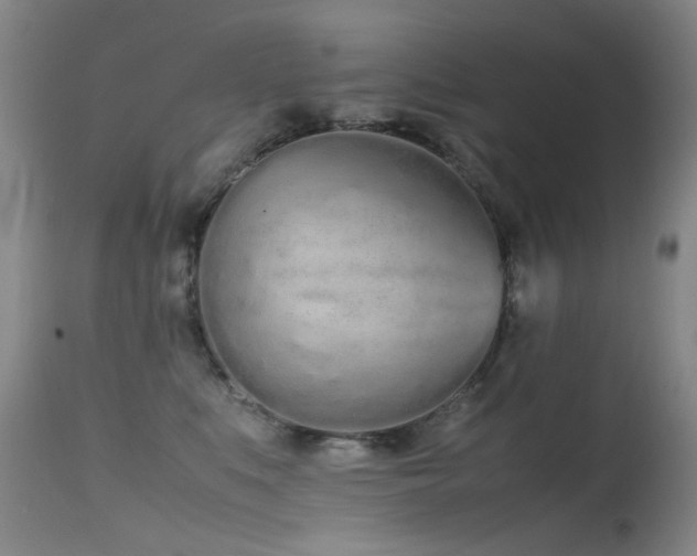 X0000115620519200911101418