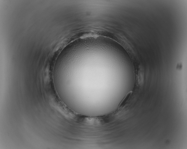 X0000115620520200911101418