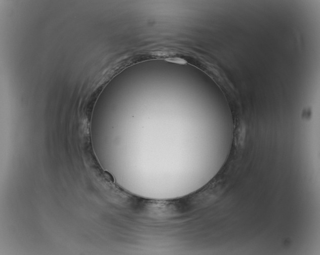 X0000115620521200911101418