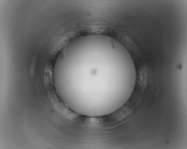 X0000115620522200911101418