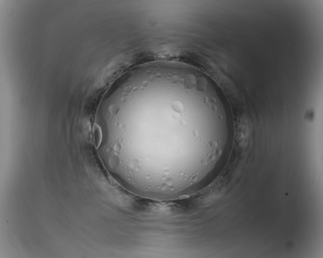 X0000115620523200911101418