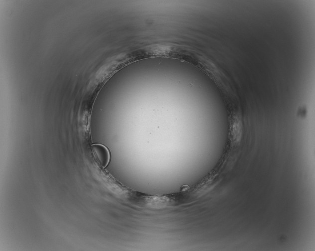 X0000115620525200911101418