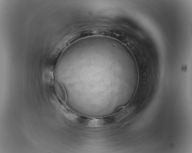 X0000115620527200911101418