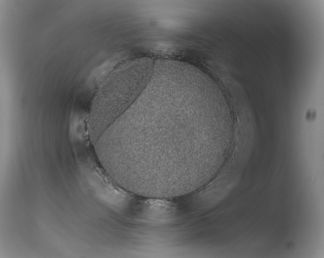 X0000115620528200911101418