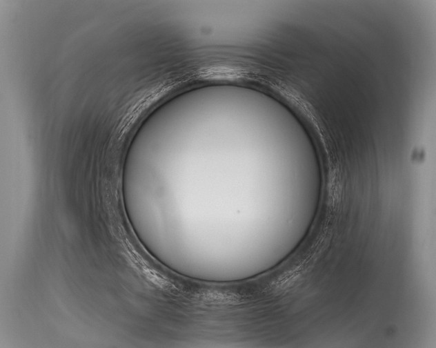 X0000115620529200911101417