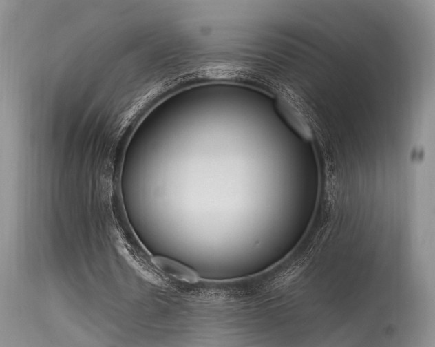 X0000115620530200911101417