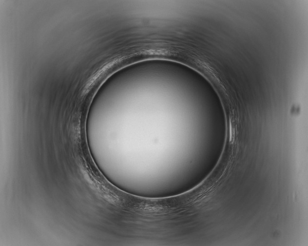 X0000115620531200911101417