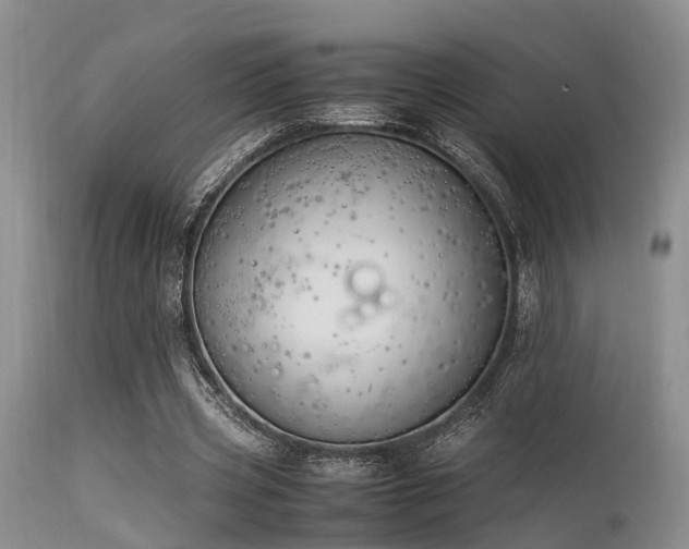 X0000115620533200911101417