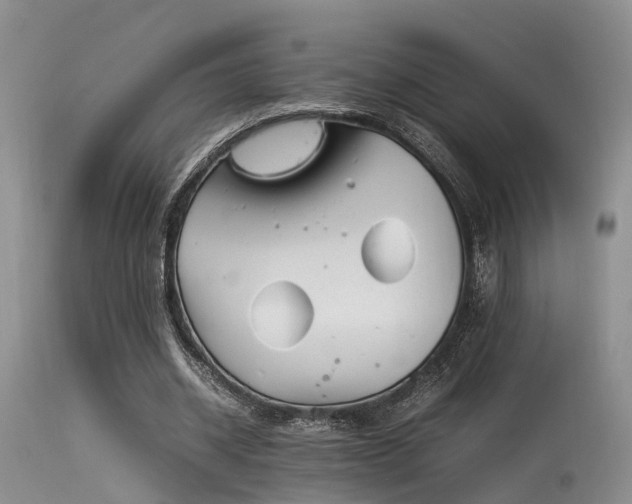 X0000115620534200911101417