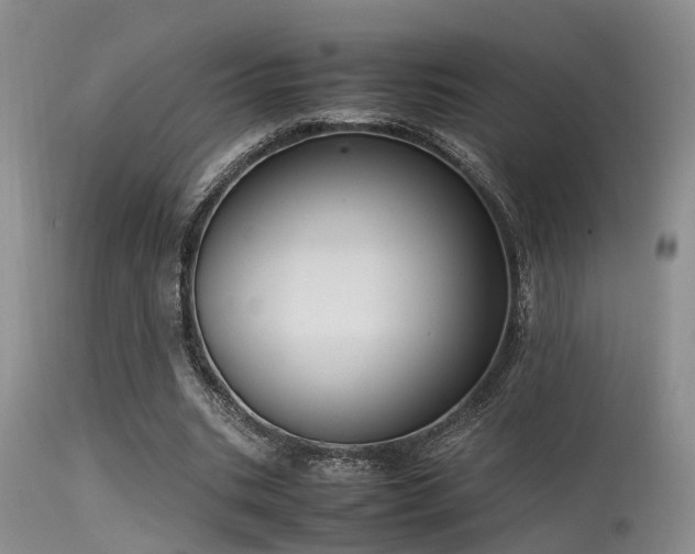 X0000115620535200911101417