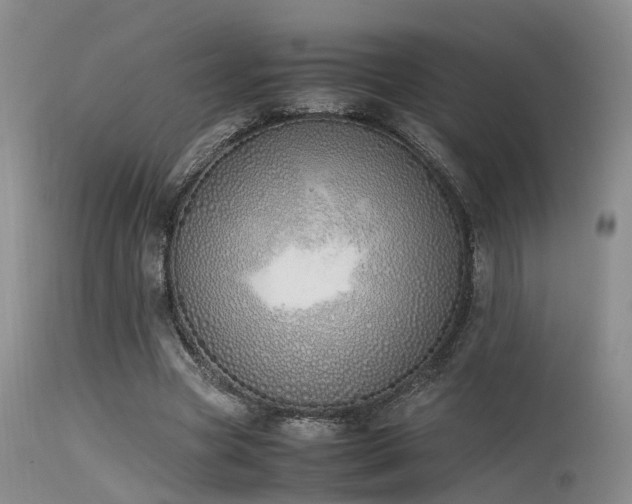 X0000115620537200911101417