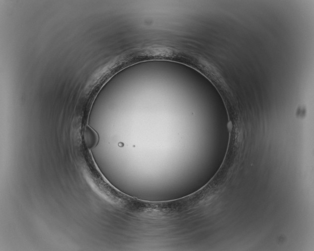 X0000115620538200911101417