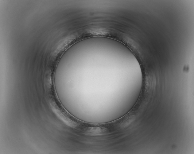 X0000115620541200911101417