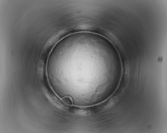 X0000115620542200911101417