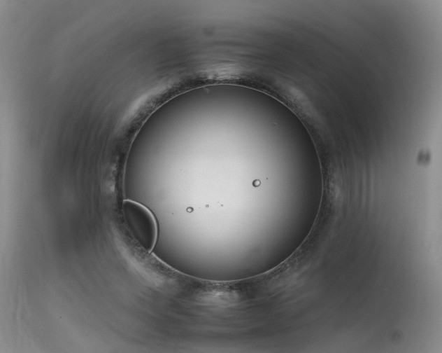 X0000115620543200911101417