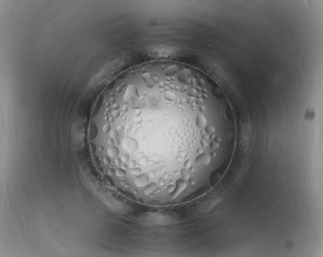 X0000115620545200911101417