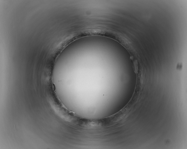 X0000115620546200911101417