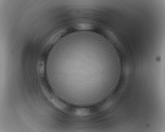 X0000115620549200911101417