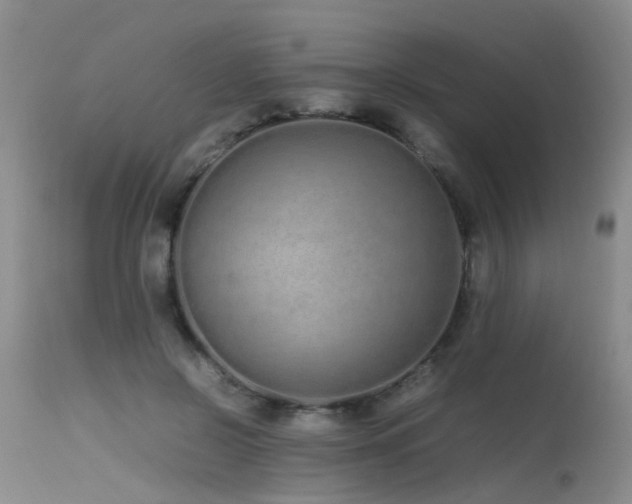 X0000115620550200911101418