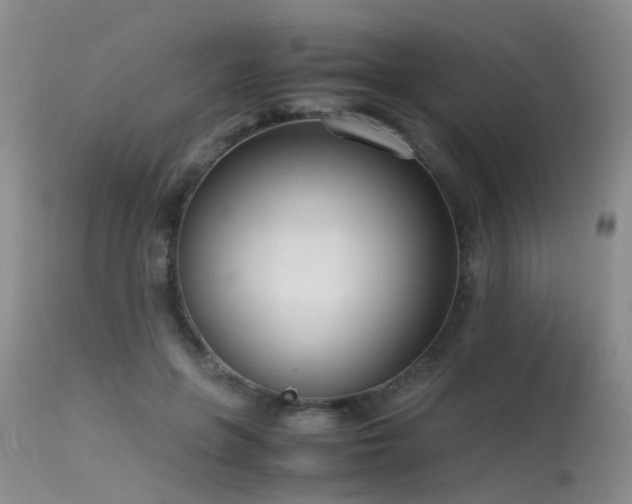 X0000115620551200911101418