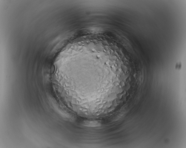 X0000115620553200911101418