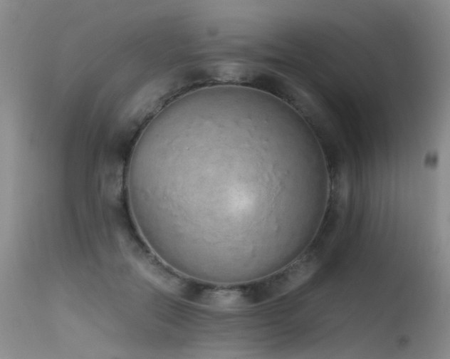 X0000115620554200911101418