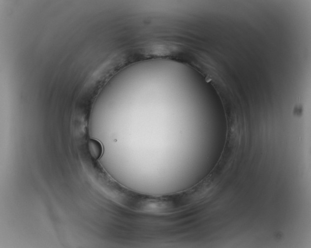 X0000115620555200911101418