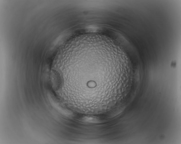 X0000115620557200911101418