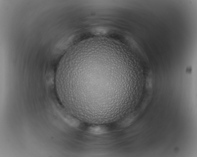 X0000115620561200911101418