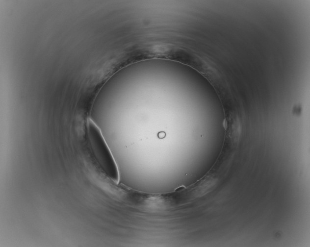 X0000115620562200911101418