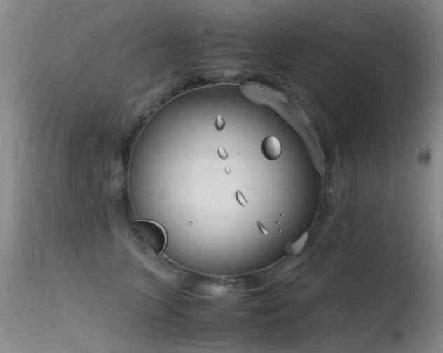 X0000115620563200911101418