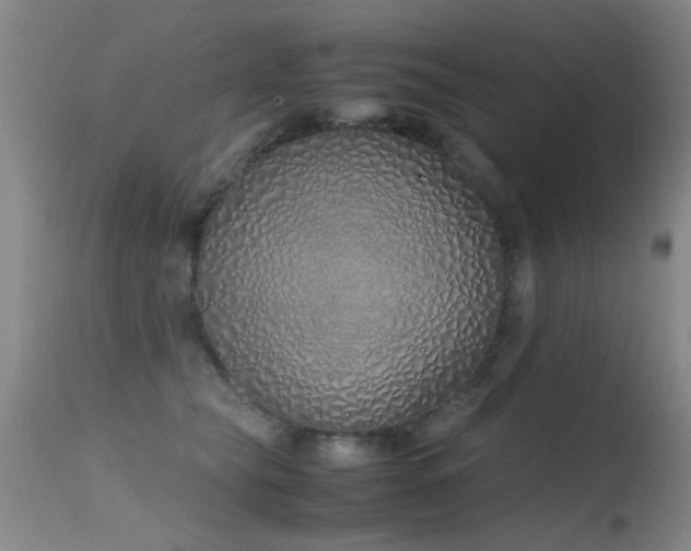 X0000115620565200911101418