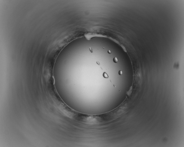 X0000115620566200911101418