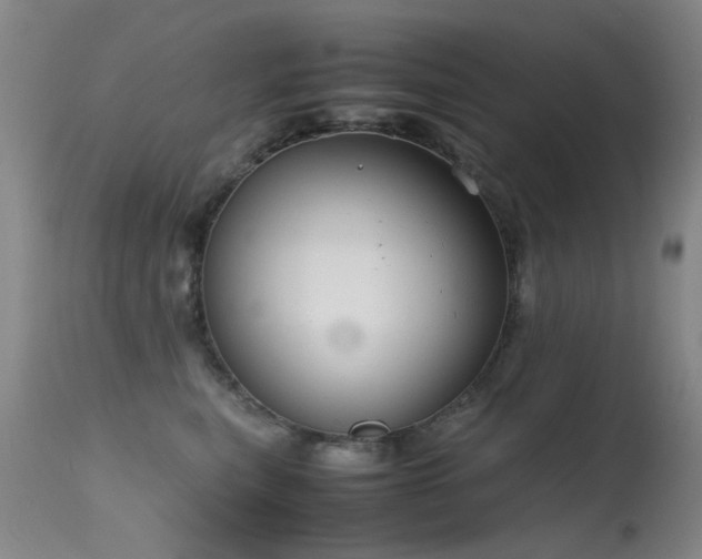 X0000115620567200911101418