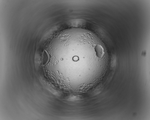 X0000115620569200911101418