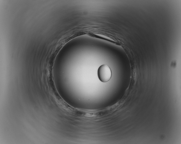 X0000115620570200911101418