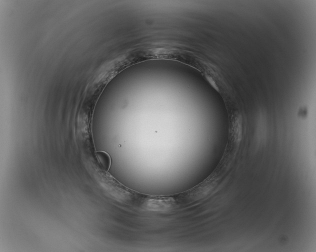 X0000115620571200911101418