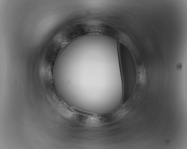 X0000115620573200911101418