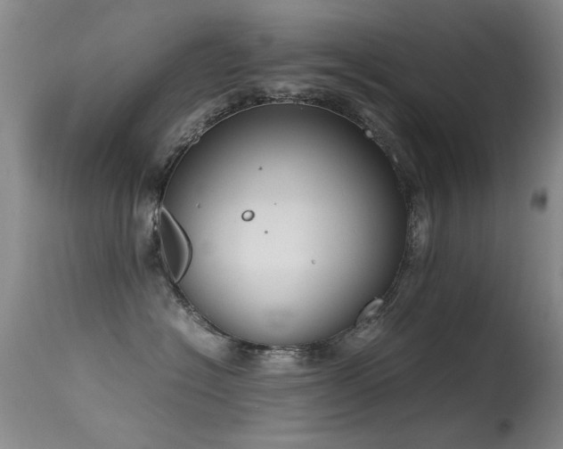 X0000115620574200911101418