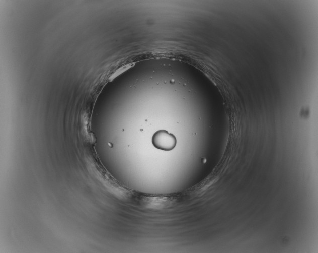 X0000115620575200911101418