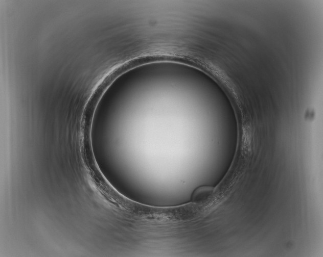 X0000115620580200911101417