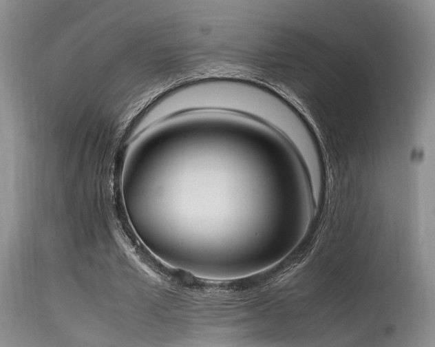 X0000115620581200911101417