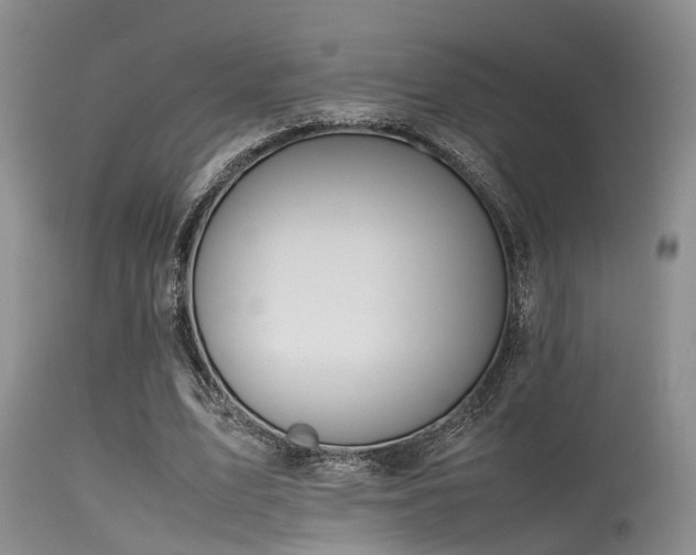 X0000115620583200911101417