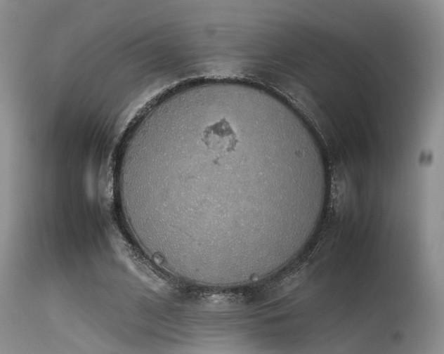 X0000115620584200911101417