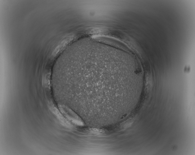 X0000115620585200911101417