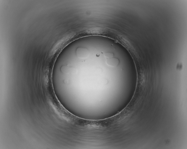 X0000115620586200911101417