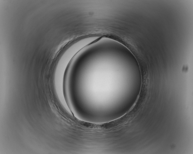 X0000115620587200911101417